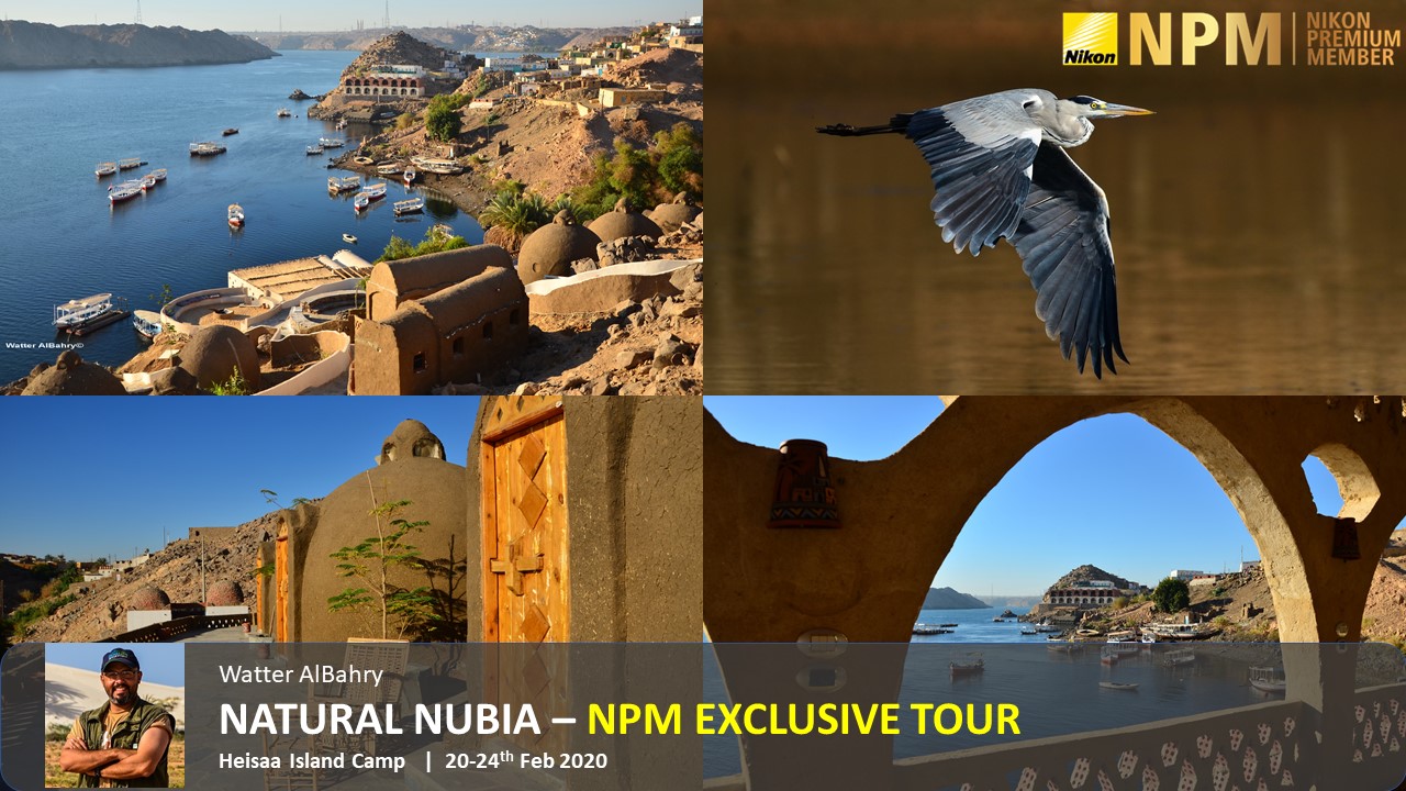 Natural Nubia - NPM TOUR